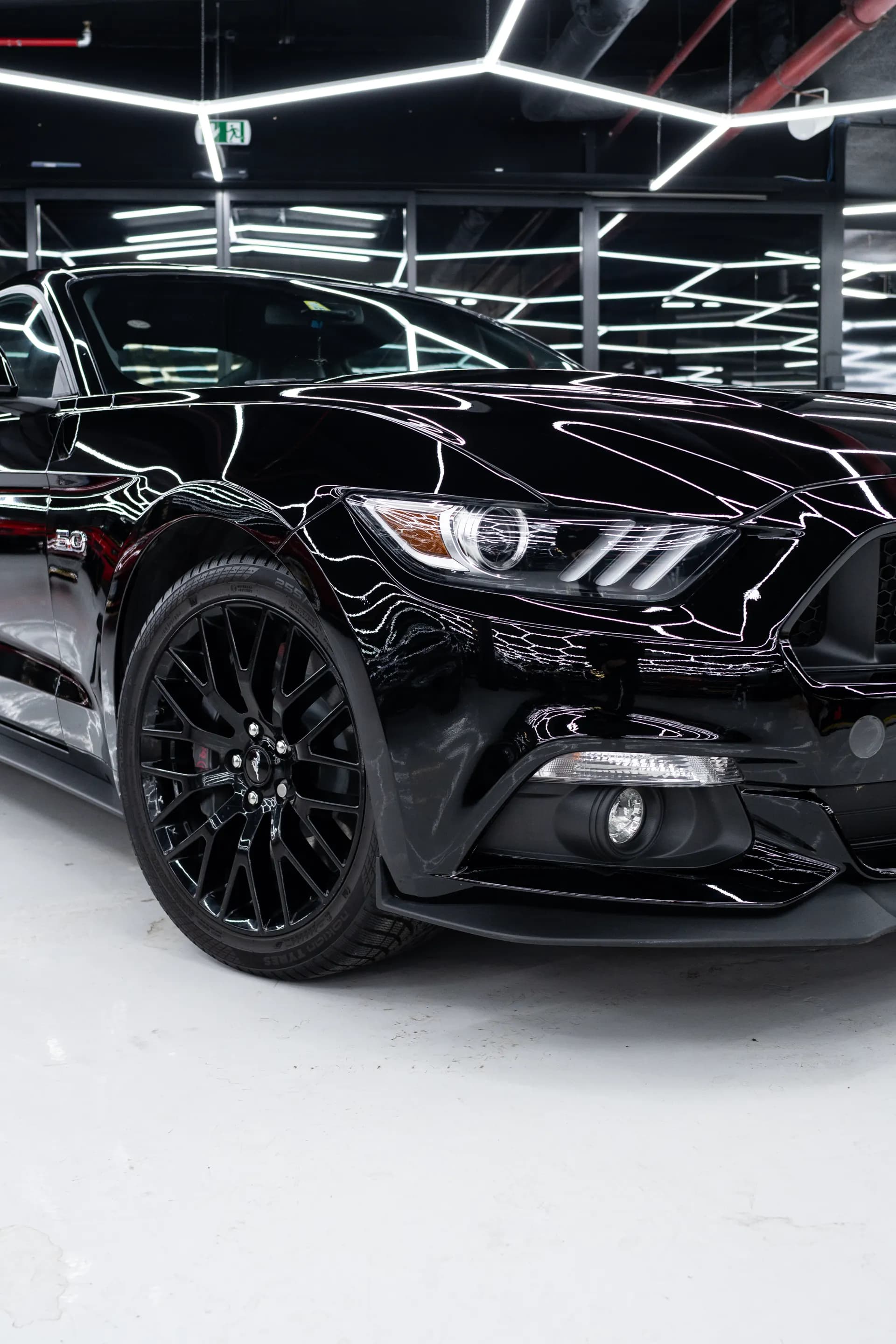 Realizace Mustang